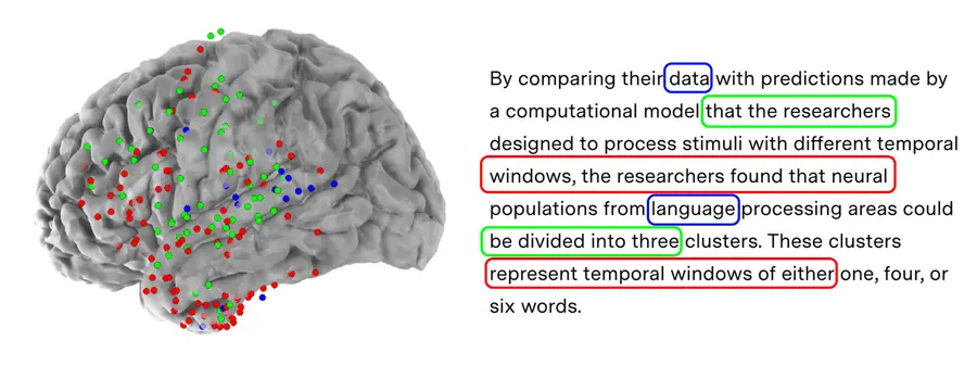 Neurons Process Words on Different Timescales