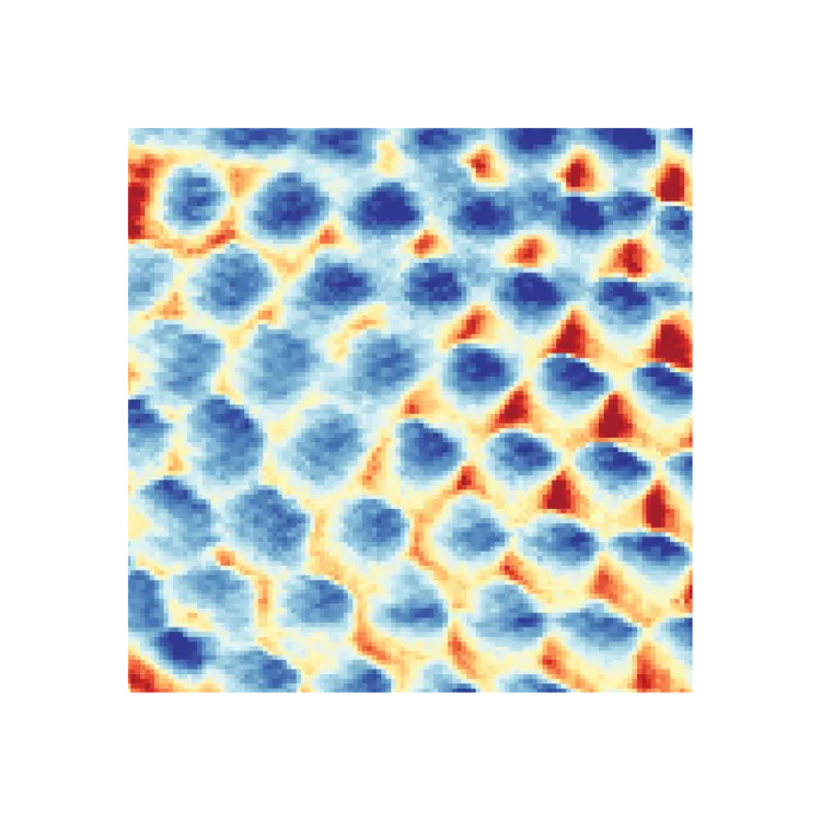 Quantum crystal of frozen electrons visualized