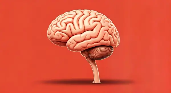 How Anesthesia Drug Propofol Disrupts Brain's Balance to Induce

 Unconsciousness