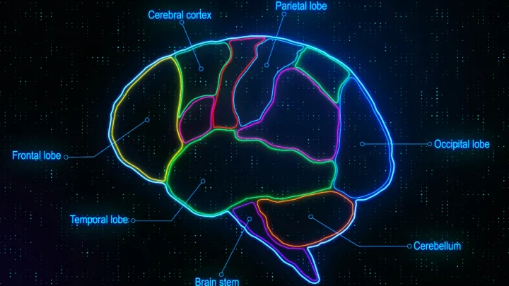 Just Thinking About a Location Activates Mental Maps in the Brain