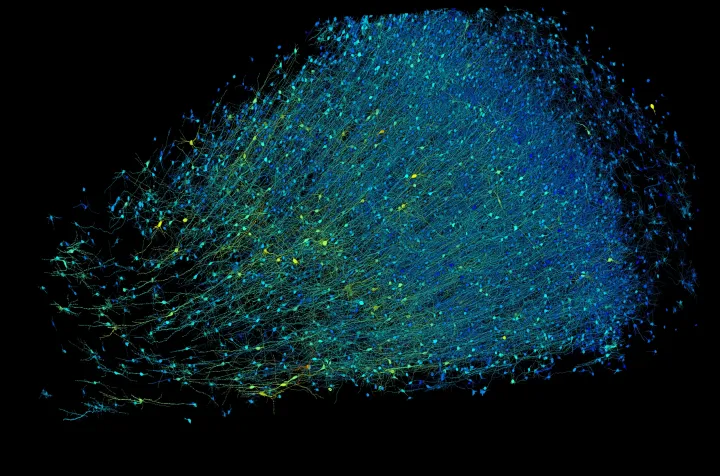 Ten years of neuroscience at Google yields maps of human brain