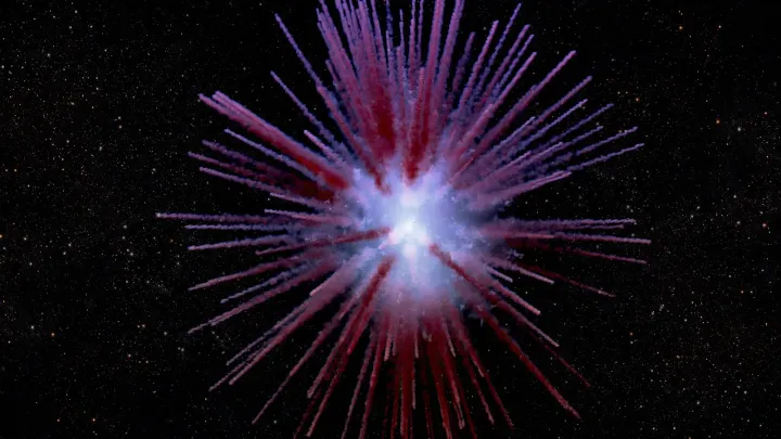 Dandelion Supernova Revealed in 3D
