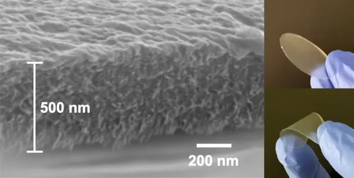A Natural Solution for "Forever Chemicals": New Filtration Material Offers Hope for Clean Water