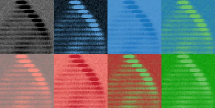 Surprising reversal in quantum systems