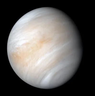 Life’s building blocks are surprisingly stable in Venus-like conditions